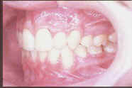 index.3.jpg